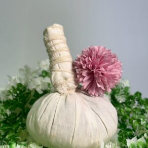 ลูกประคบ (1)